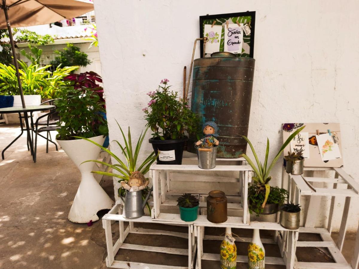 Casa Zaida Hostal Vintage ริออชชา ภายนอก รูปภาพ